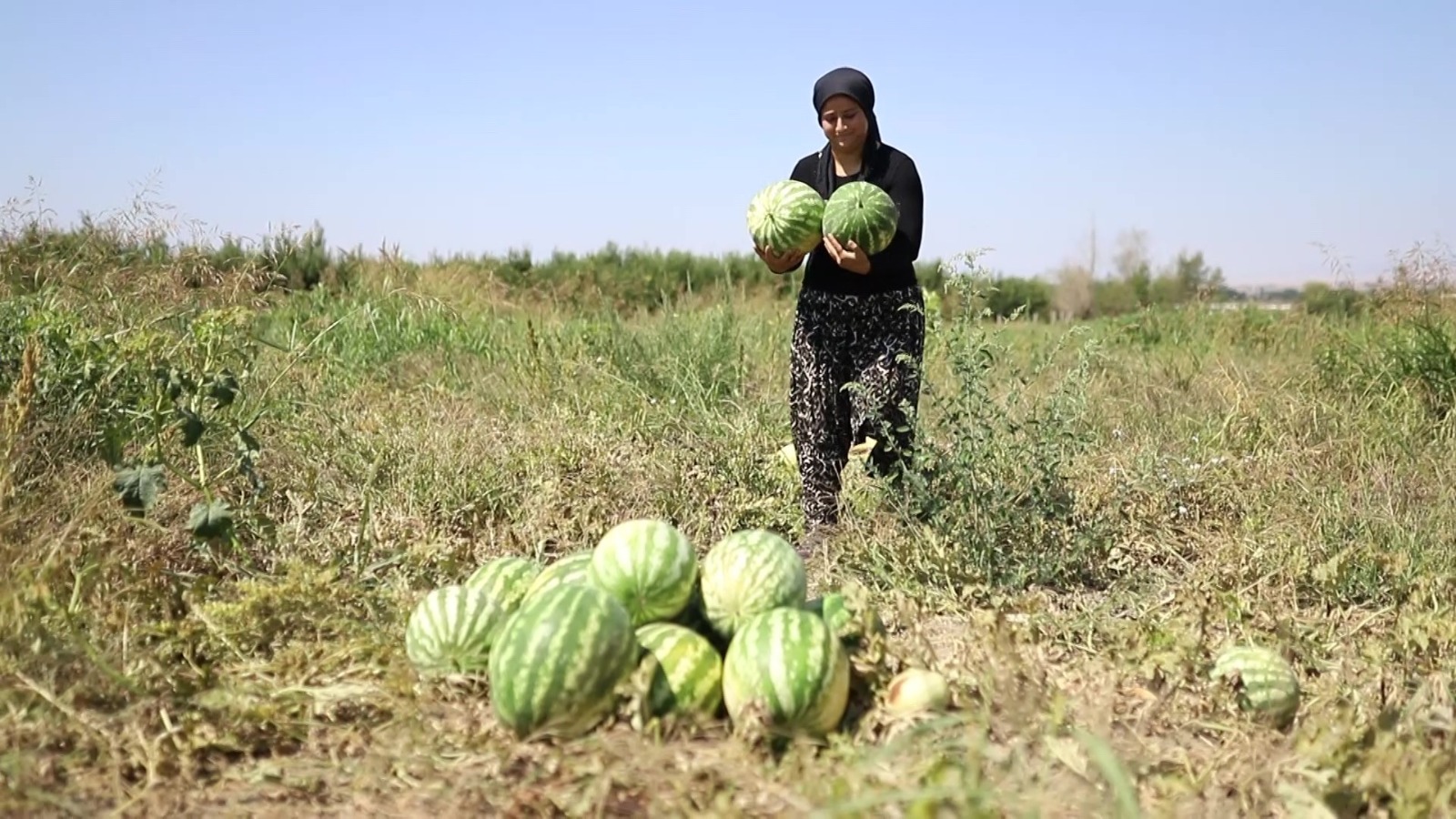 Whatsapp Image 2025 09 10 At 15.16.36 (4)