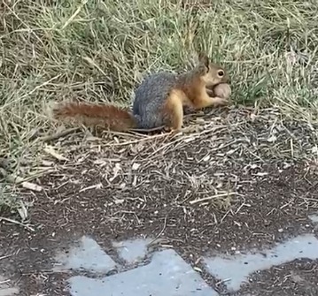 0C9E44A3 B677 46B3 8D1B 2B81Cdd37747