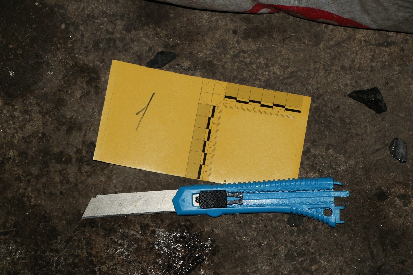 10 Milyon Lira Için Dehşet Küçük Çocuğun Boğazını Falçatayla Kesti! (4)