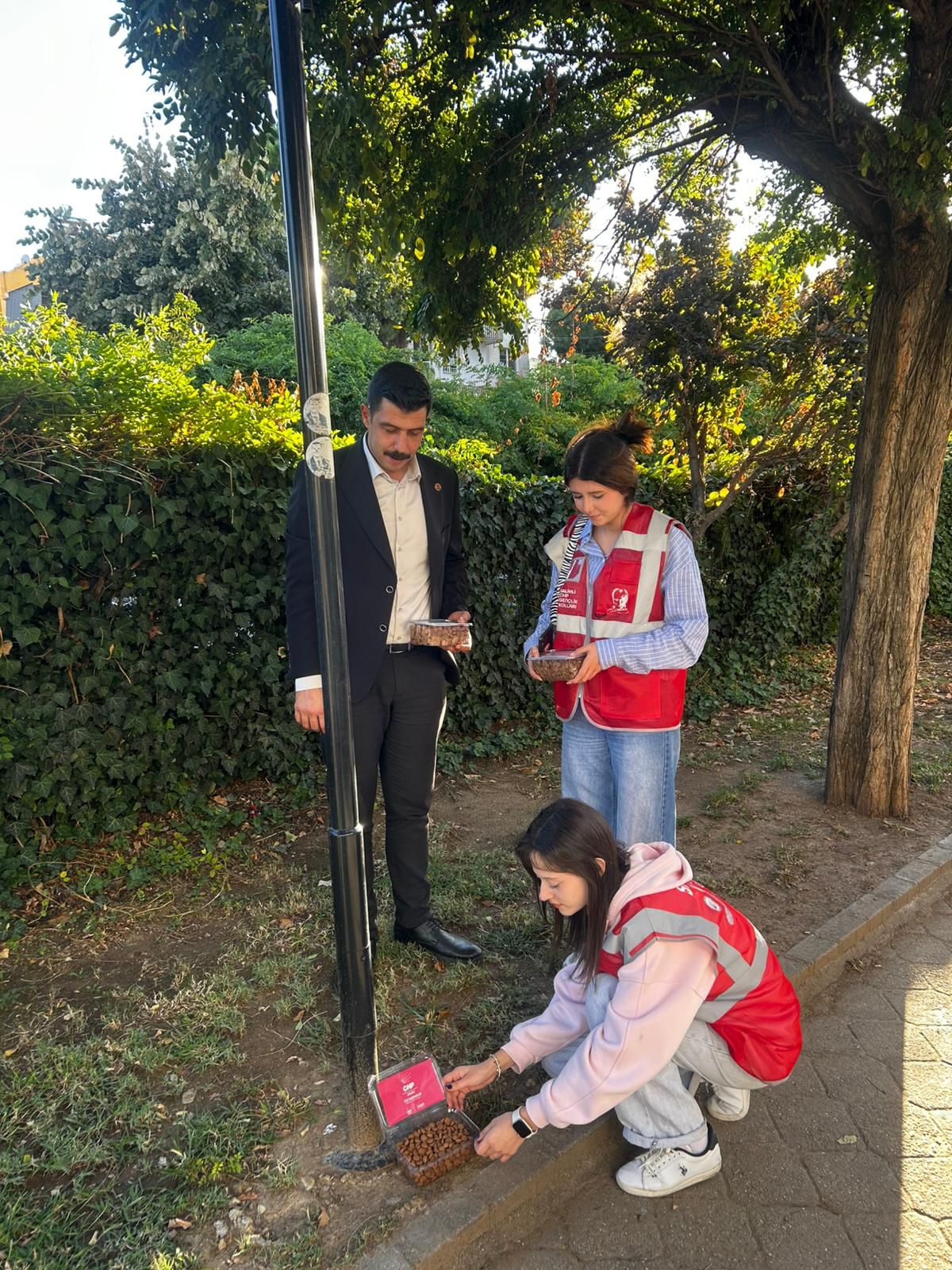 334363F9 7Ff5 4085 A903 D10Cbf57B9C8