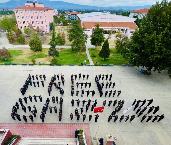 557639419 10241054644201967 1764611690895136056 N