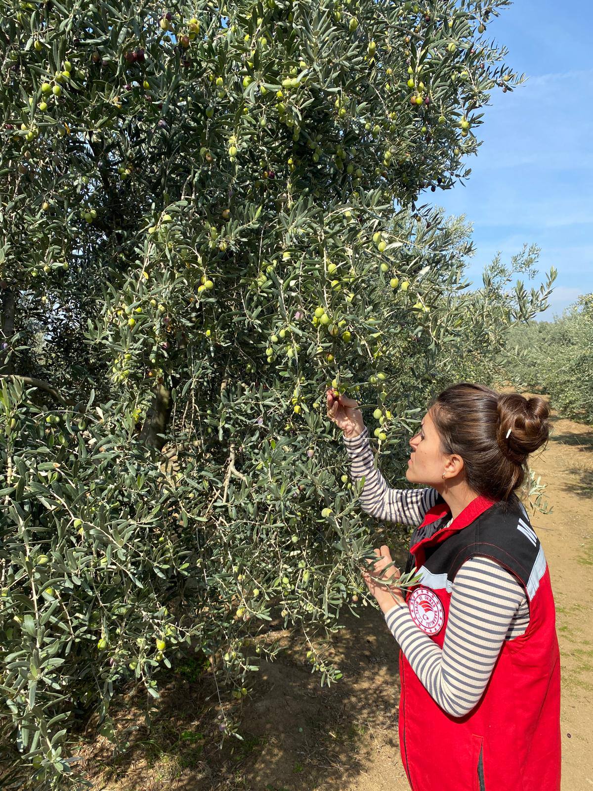 565205664 1247249227419963 8676782957799844856 N