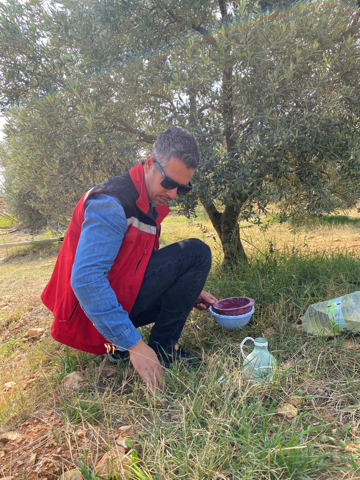 565665685 1247249317419954 4721054046868466302 N