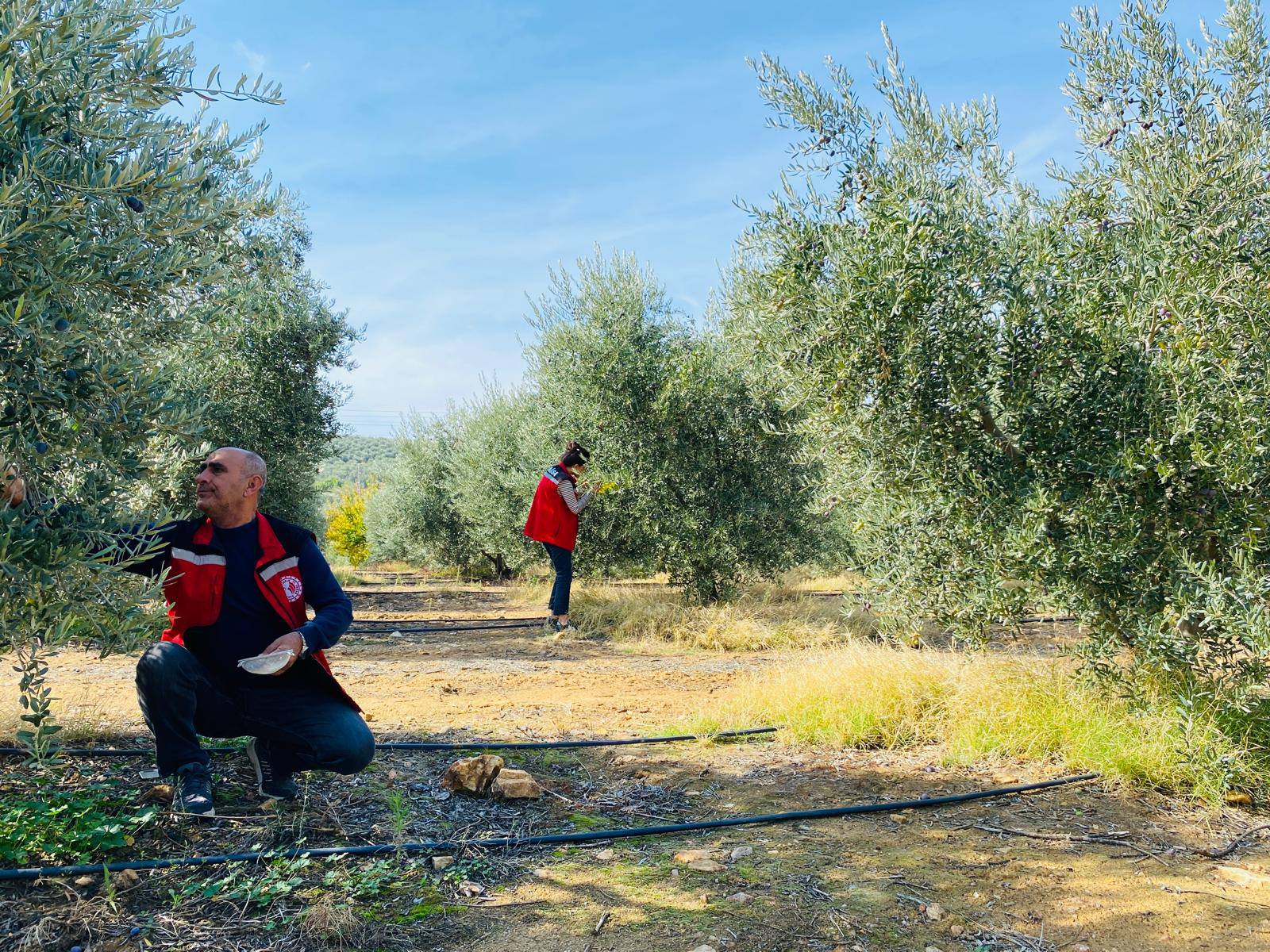 566202980 1247249380753281 118866373580176450 N