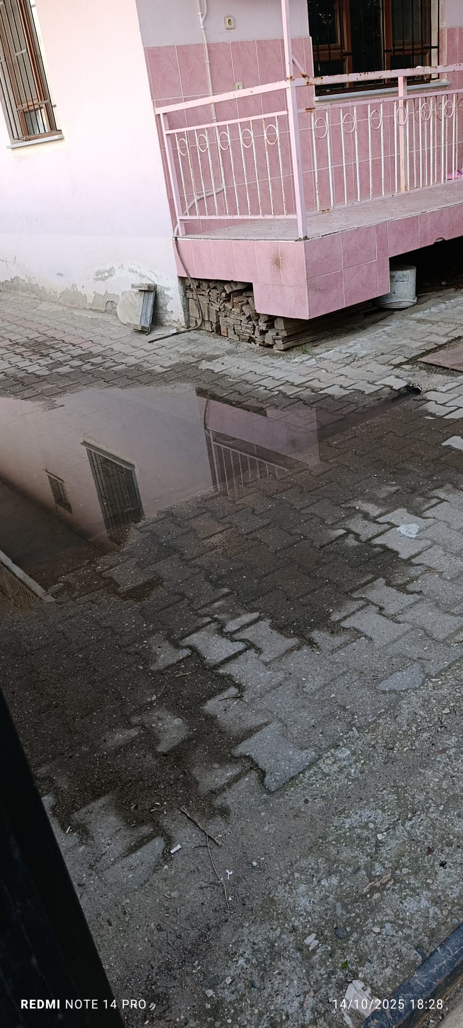 72F9Aac5 E9D3 41E7 Ab4D 6F5Bb8Fd4Db9