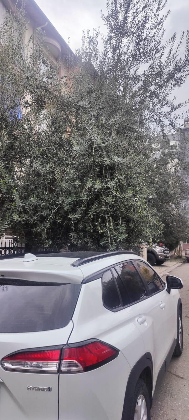 79C3D818 3D40 4C9D Bac2 99F5446Cec83