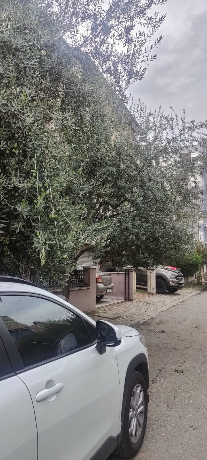 7B80F03F B0E6 4Ea5 8Ca3 63Ccdb31A18C