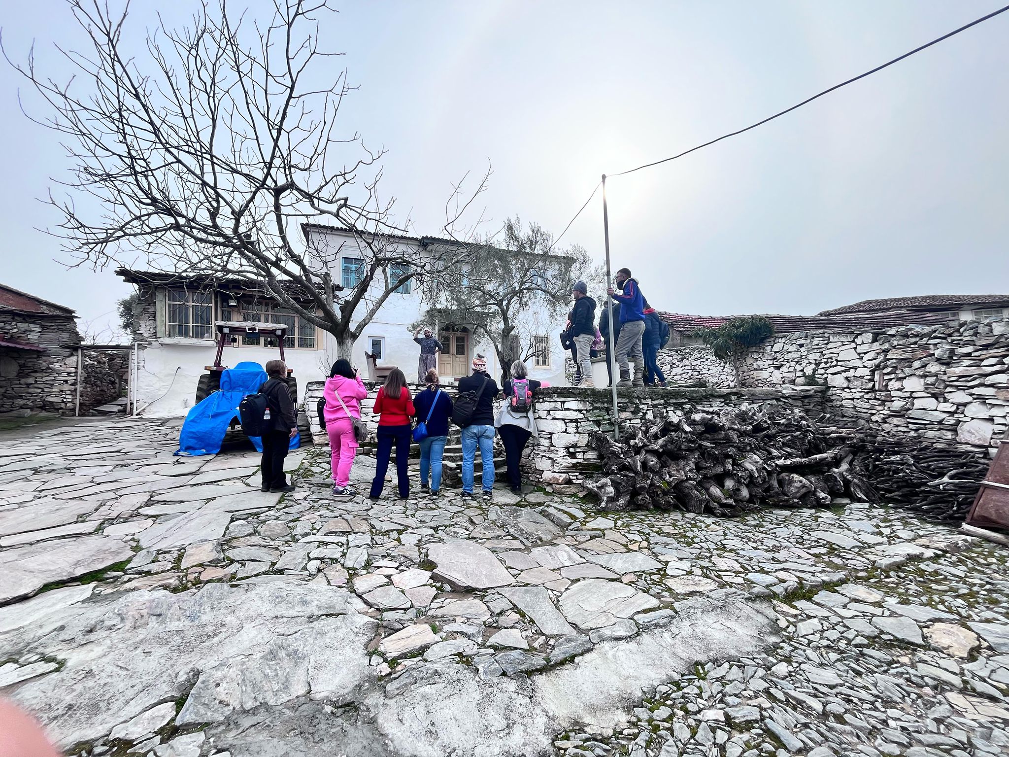 940Bdd24 599B 459C A6Ee 4C2Da9Cd7D02