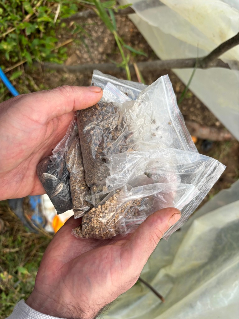 Balkonunda Basladi Ulusal Farkindaliga Donustu Ata Tohumlarinin Yolculugu (5) (Orta)