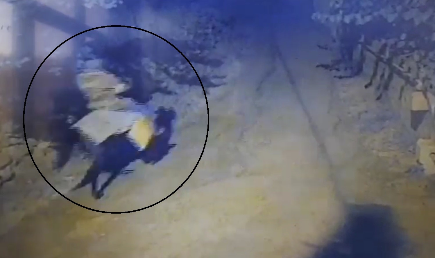 Cami Çıkışı Katliam Yaşlı Çifti Öldüren Zanlı Atla Kaçtı (8)