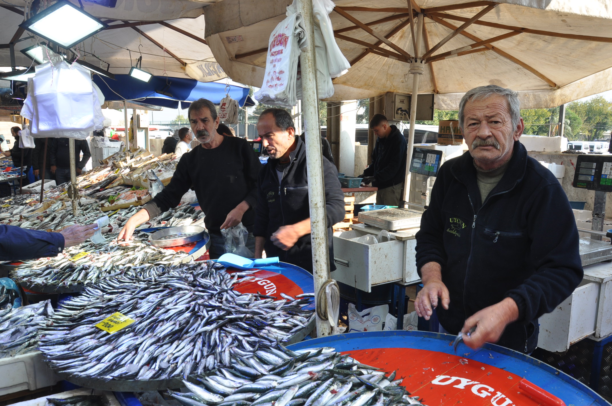 Çarşamba Pazarı Tezgah (14)