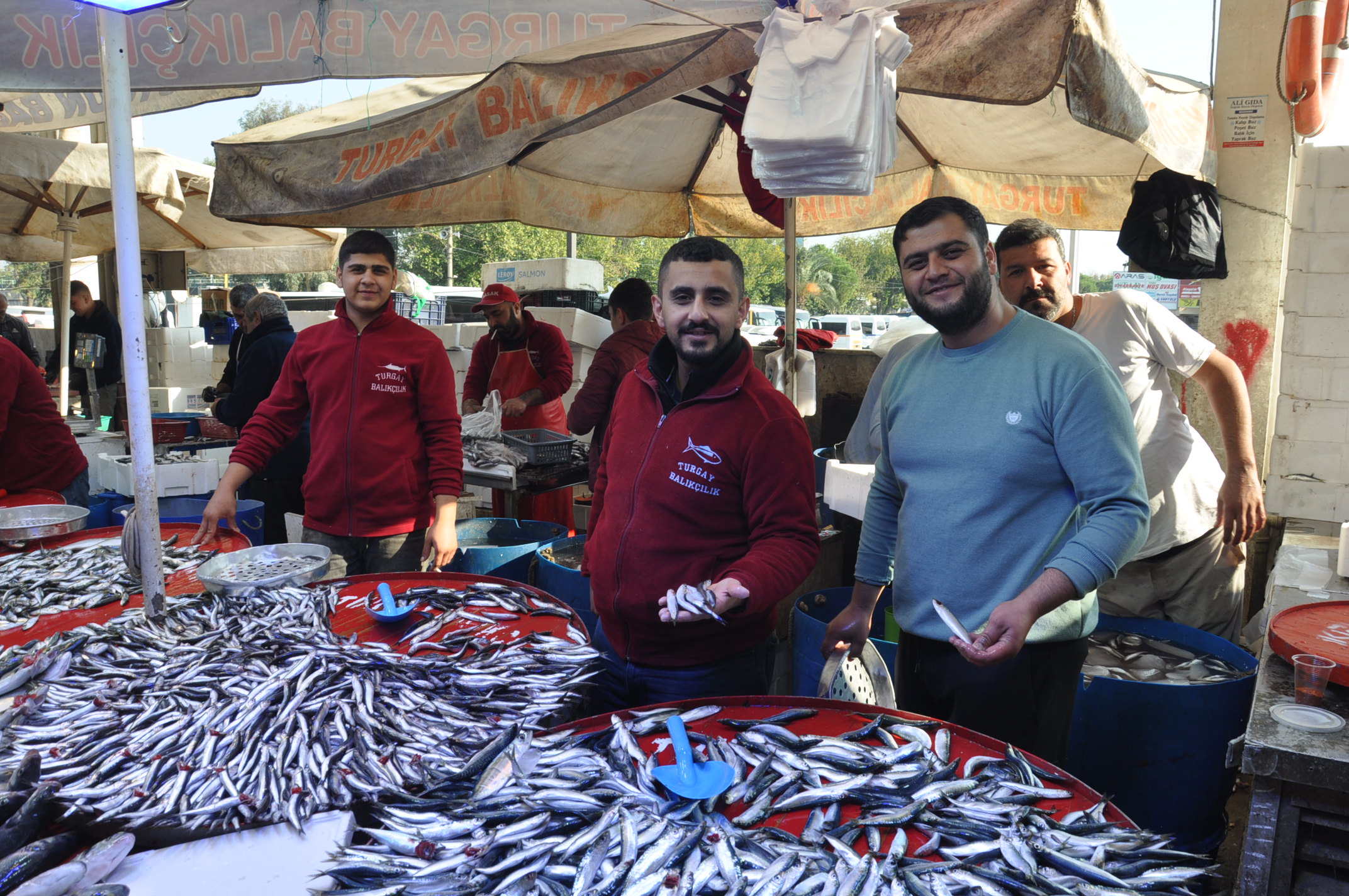 Çarşamba Pazarı Tezgah (19)