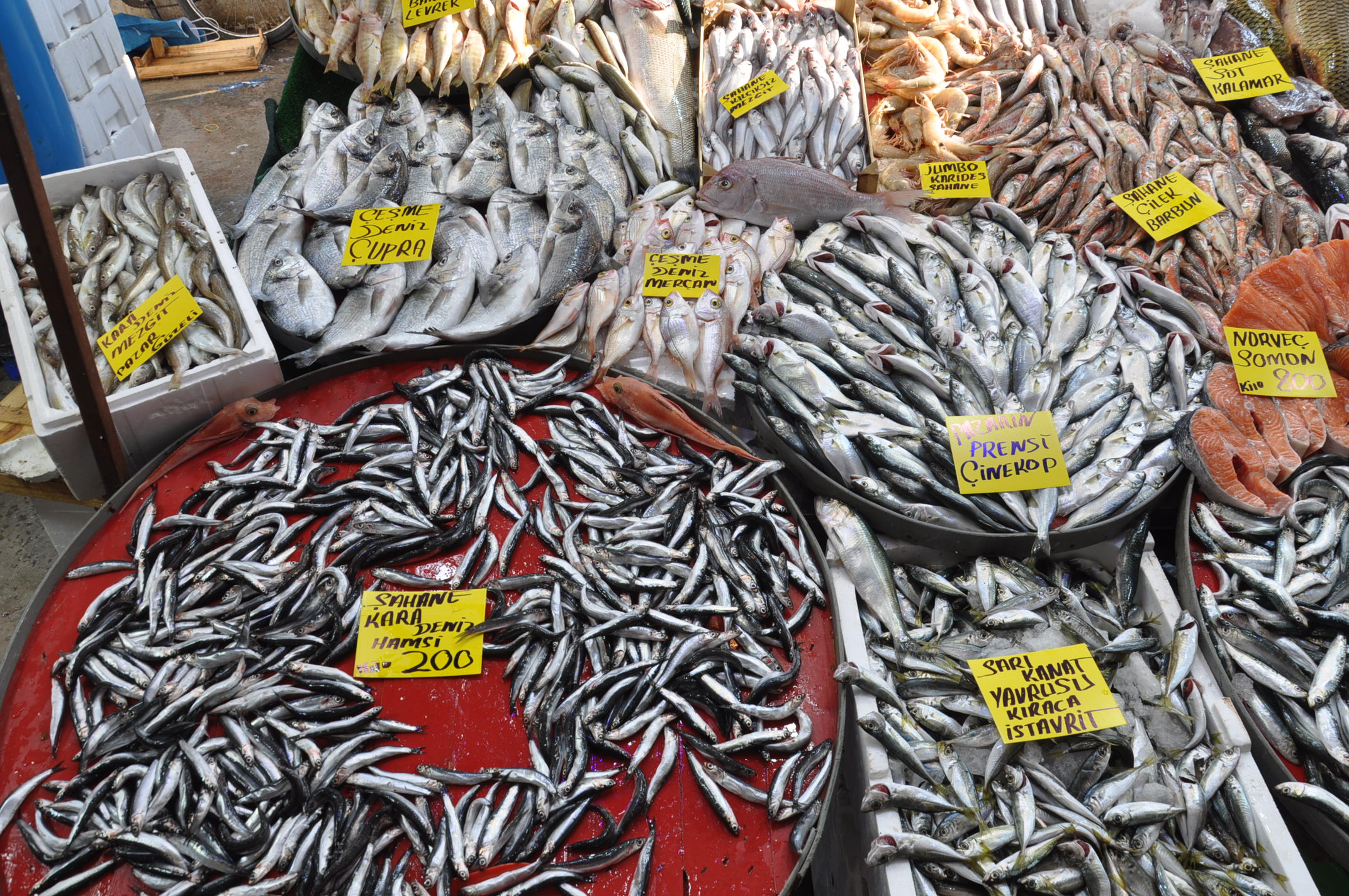 Çarşamba Pazarı Tezgah (6)