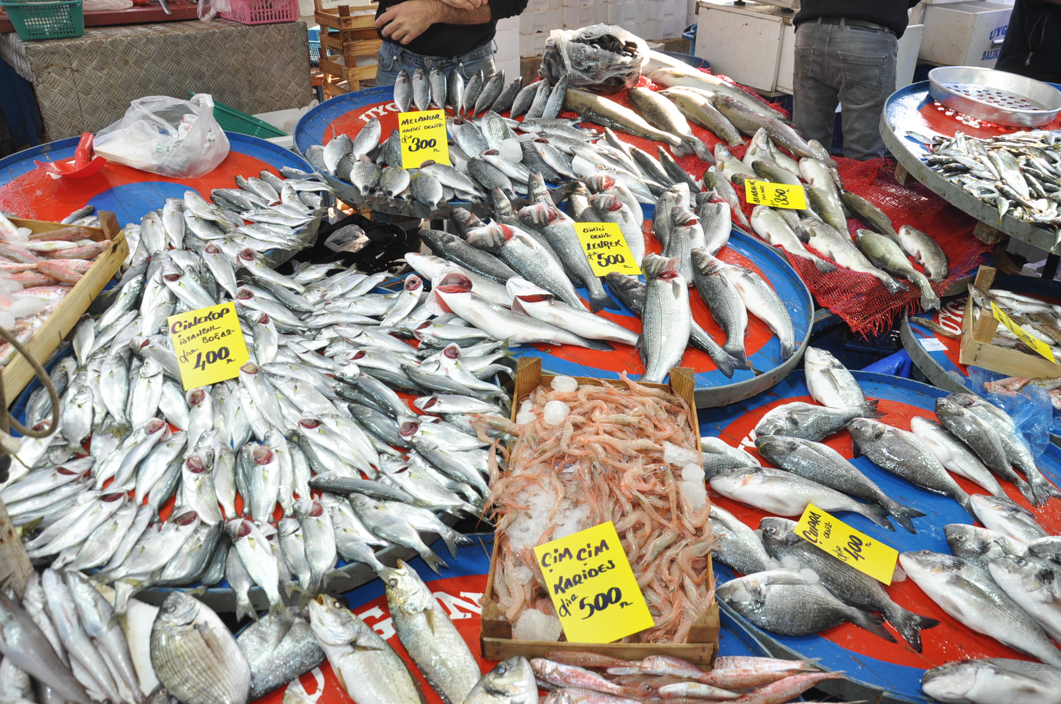 Çarşamba Pazarı Tezgah (8)