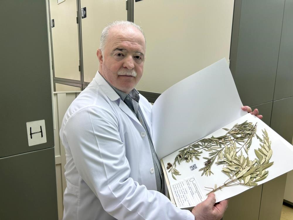 Cudi Dagindan Gelen Bilimsel Iz Nuhun Gemisinin Gercek Yeri Belli Olabilir (5)