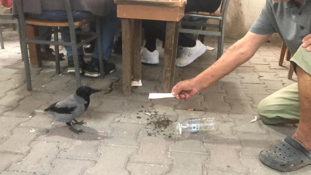 Datcanin Maskotu Karga Rifki Gunduzleri Kahvede Geceleri Kuaforde (5)