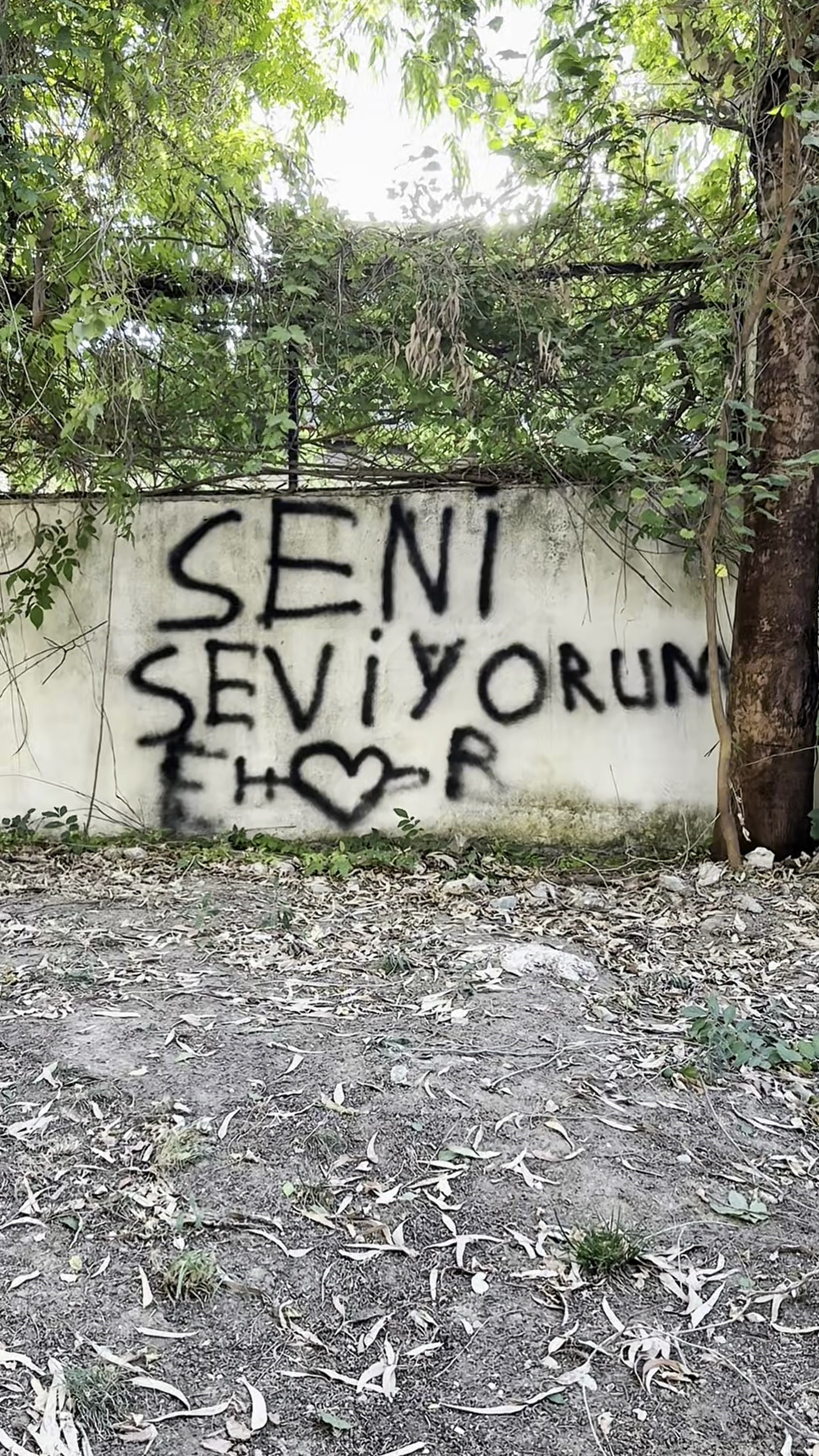 Duvara “Seni Seviyorum” Yazan Vatandaşa Belediyeden Esprili Cevap Seviyorsan Git Konuş (4)