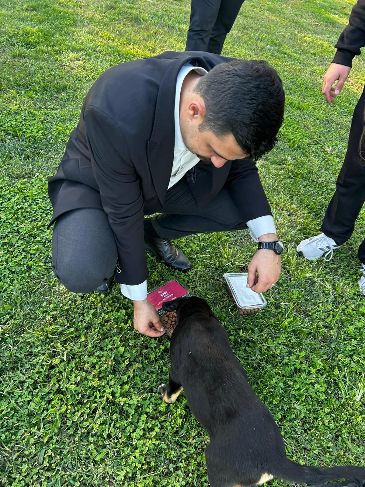 E67650B4 8Cb5 4Bbf A93F Cd2F5C5Cf198