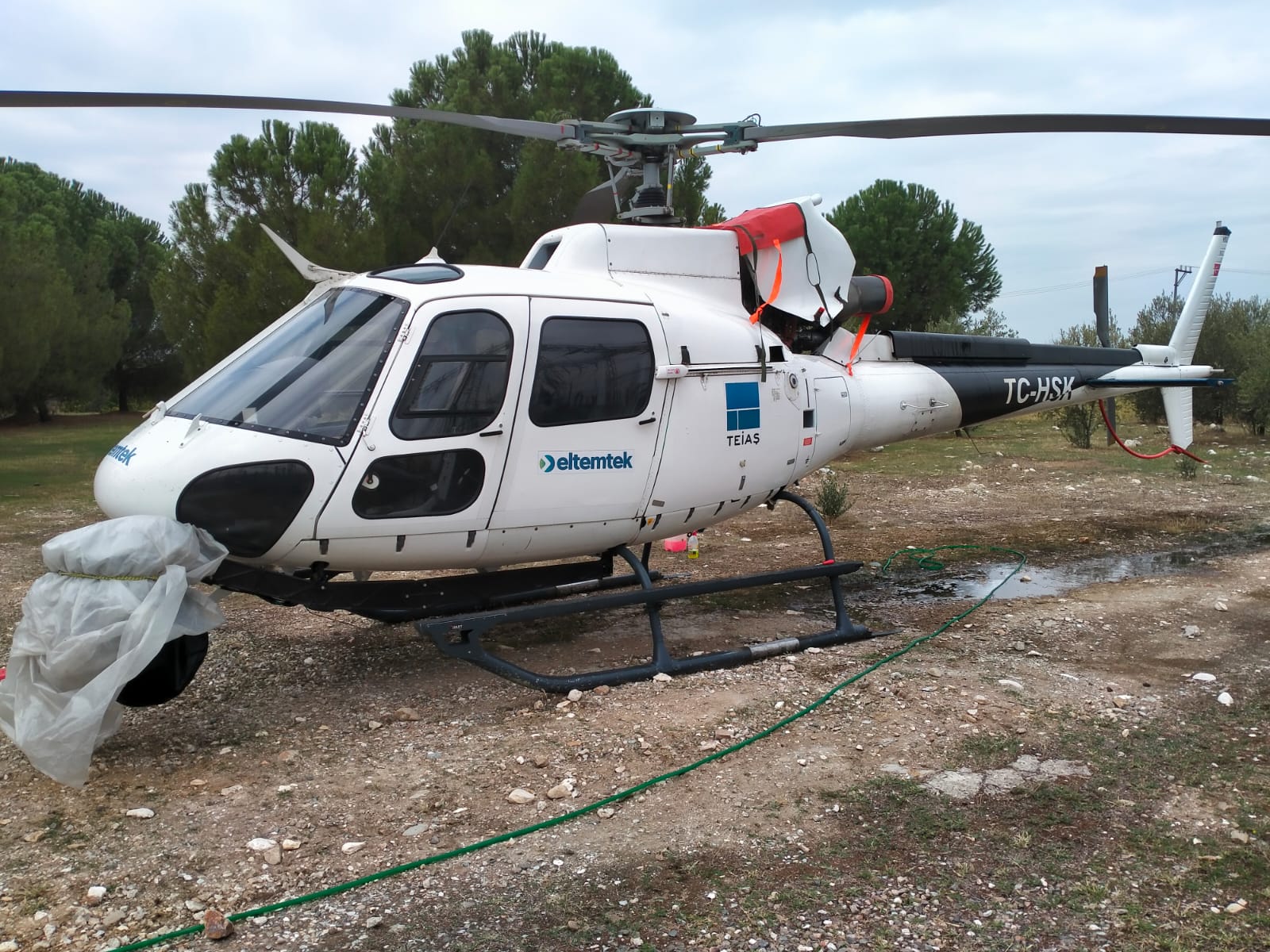 F66F8E70 18D0 4434 A30A Bf59Ffd723A1