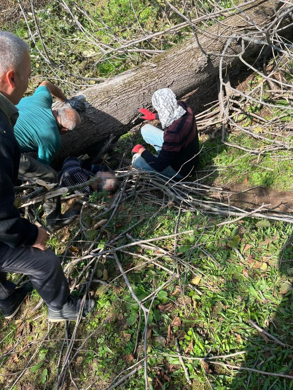 Fındık Bahçesinde Ölüm Ağacın Altında Sıkışan Adam Hayatını Kaybetti (2)