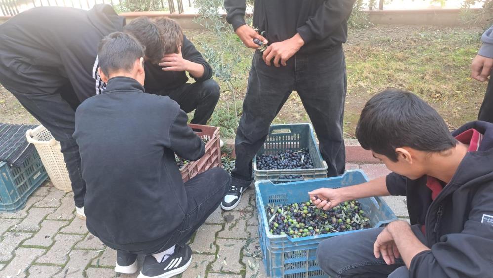 Gölmarmara Öğrenci̇ler Zeyti̇n (2)