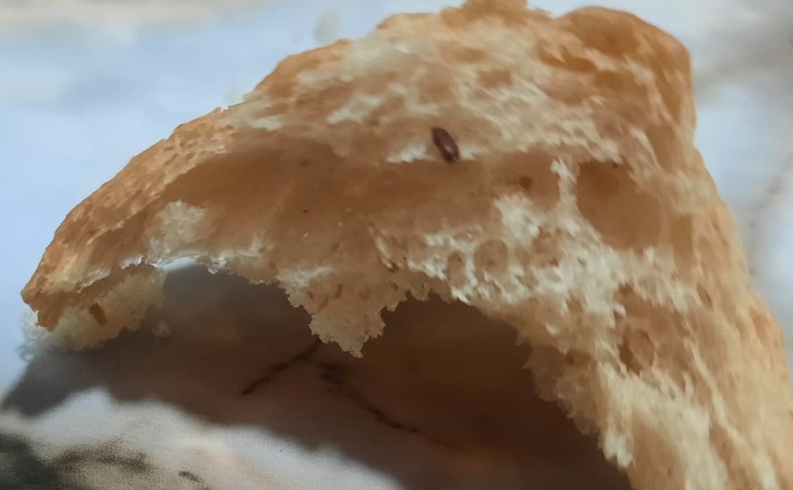 Halk Ekmek’te Hijyen Rezaleti “Ekmekten Fare Dışkısı Ve Kurt Çıktı” (5)