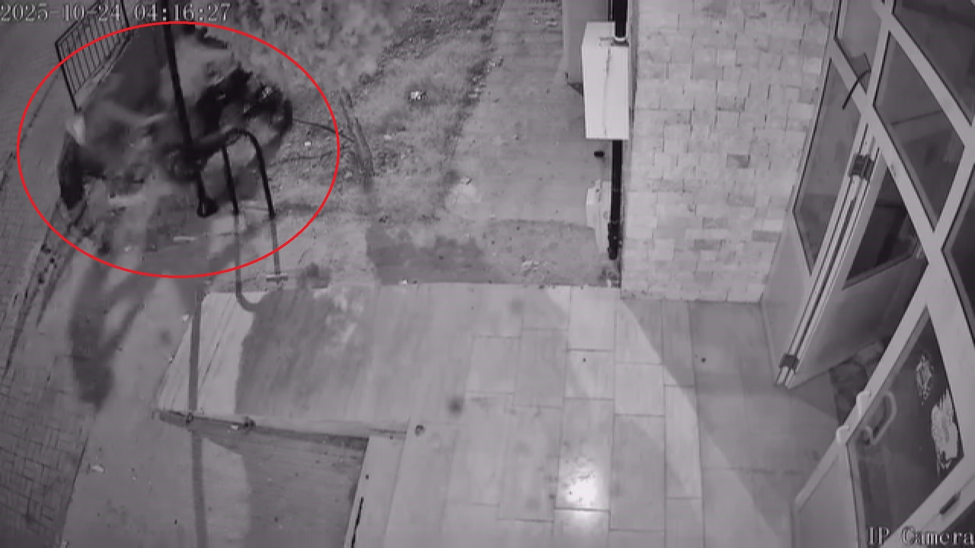 Iceri Girip Motosikleti Aldilar Hicbir Sey Olmamis Gibi Uzaklastilar O Anlar Kamerada (2)