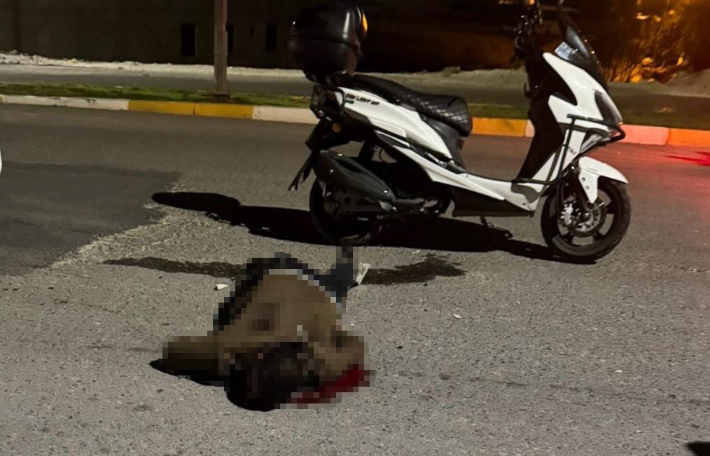 Kan Donduran Cinayet Sırtında Bıçakla Yola Çıktı, Yarı Yolda Hayatını Kaybetti (2)