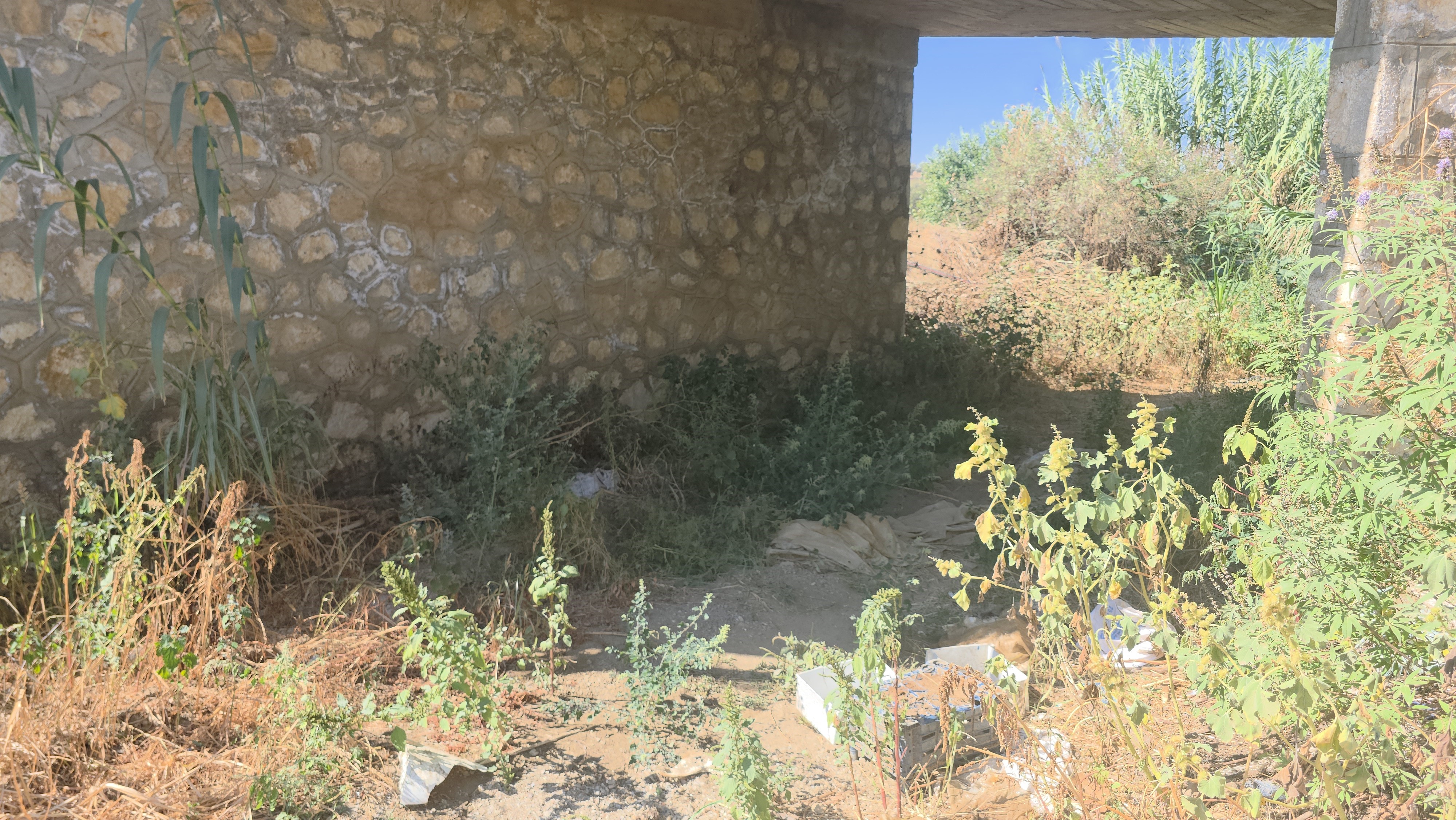 Kan Donduran Olay Anne Bebeğini Çuvala Koyup Gömmüş! (3)