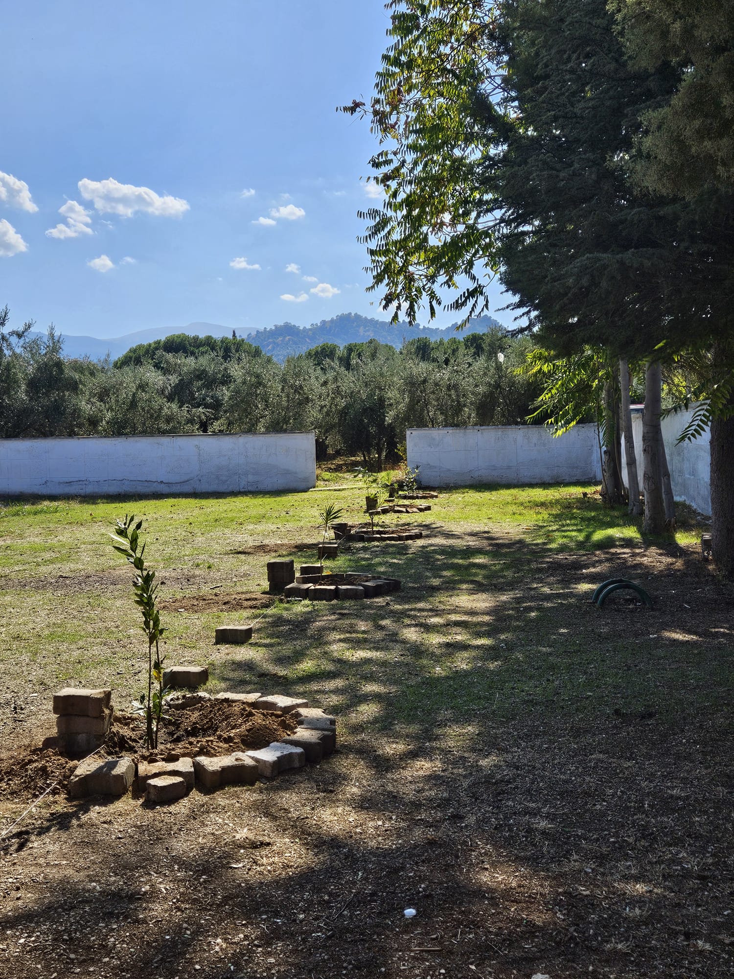 Kavaklıdere Çpl (3)