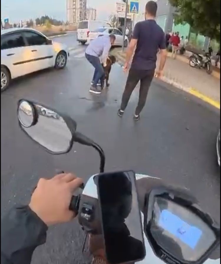 Köpek Dehşeti Sosyal Medyada Gündem Oldu Kadın Ve Kuryeyi Parçaladı, O Anlar Kamerada (3)