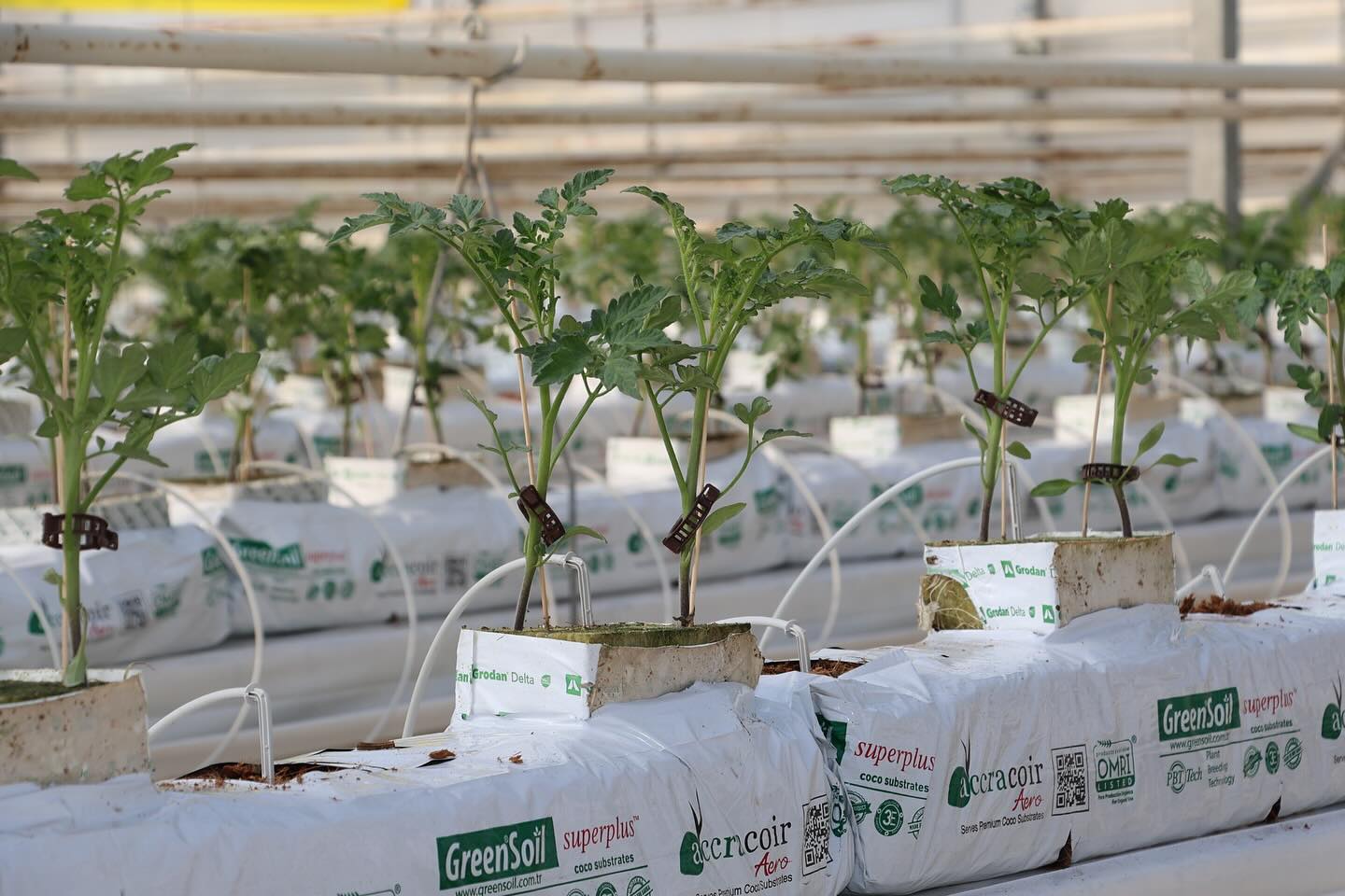 Kula Beledi̇yesi̇ (4)