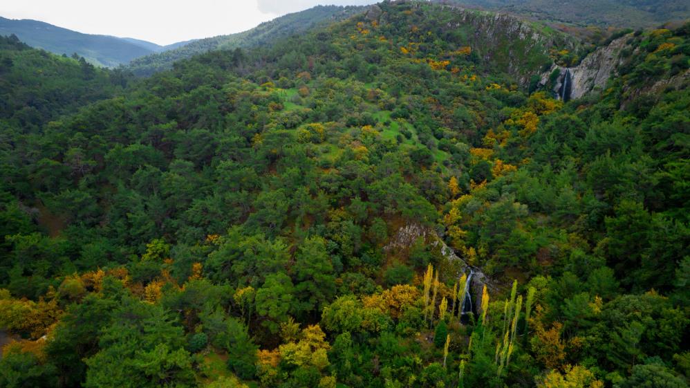 Manisa Turkmen Suuctu Selaleleri Sonbaharda Buyuledi (4)
