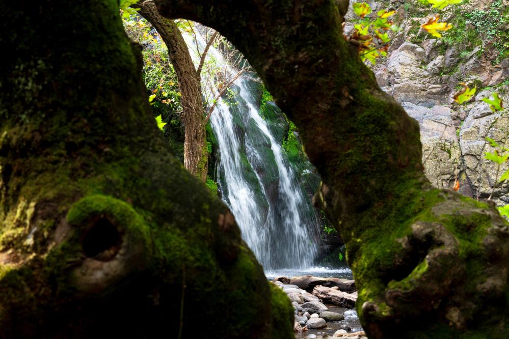Manisa Turkmen Suuctu Selaleleri Sonbaharda Buyuledi (6)