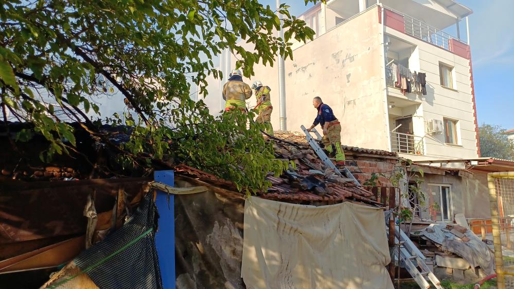 Manisa Yangın (1)-3