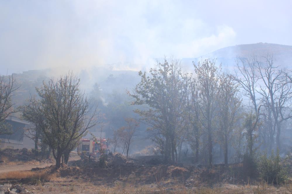 Ormanda Patlican Kozlerken Yangin Cikti (3)