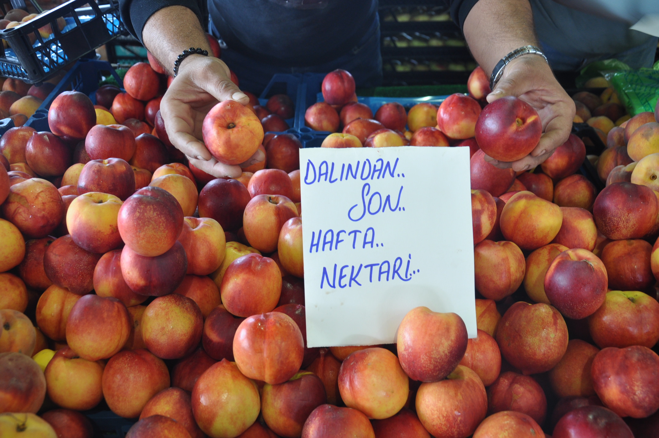 Salihli Icin Pazardaki Guncel Fiyatlar 1 Ekim Carsamba Yaz Urunleri Azaliyor Fiyatlari (12)