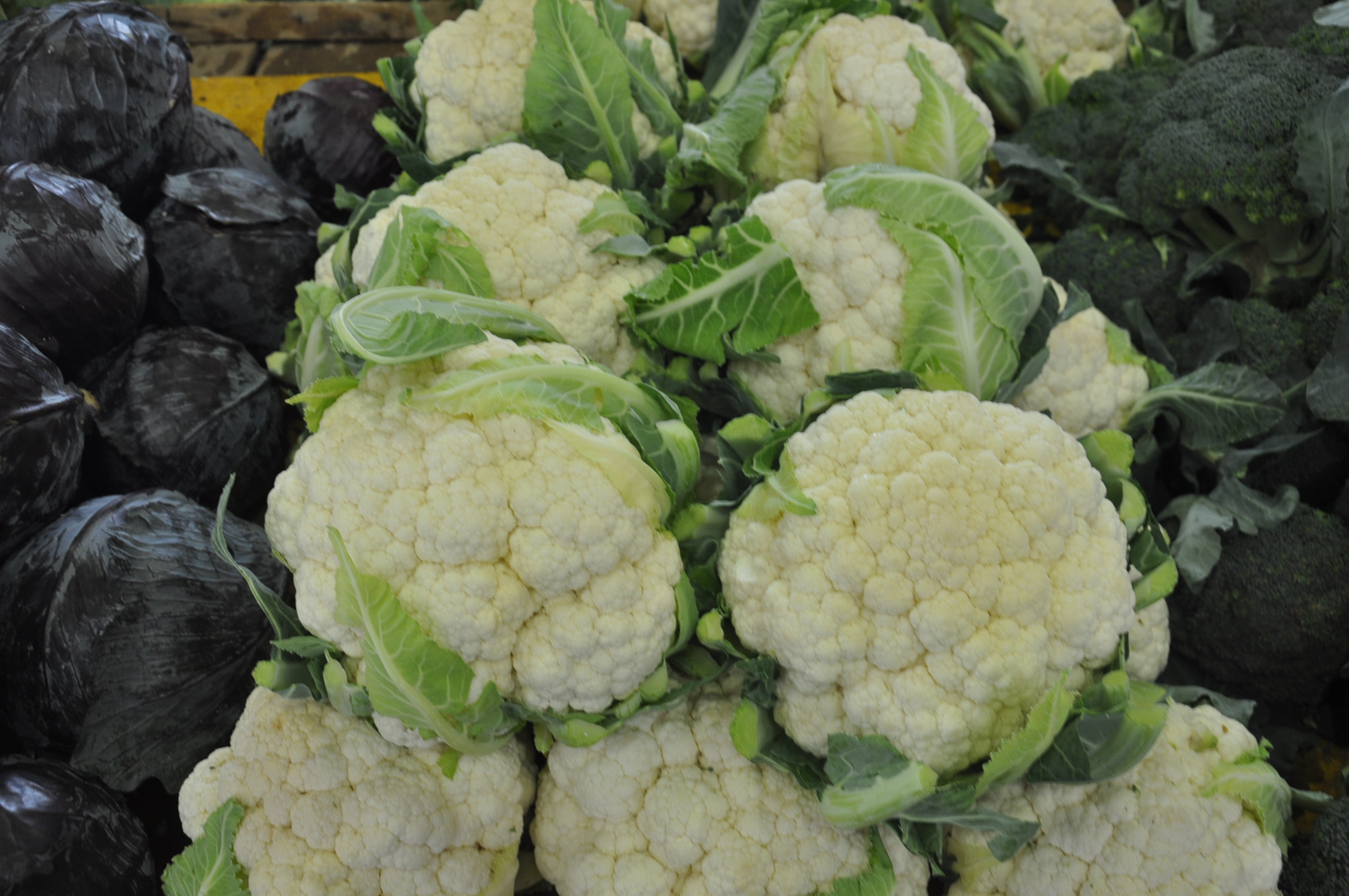 Salihli Icin Pazardaki Guncel Fiyatlar 1 Ekim Carsamba Yaz Urunleri Azaliyor Fiyatlari (19)