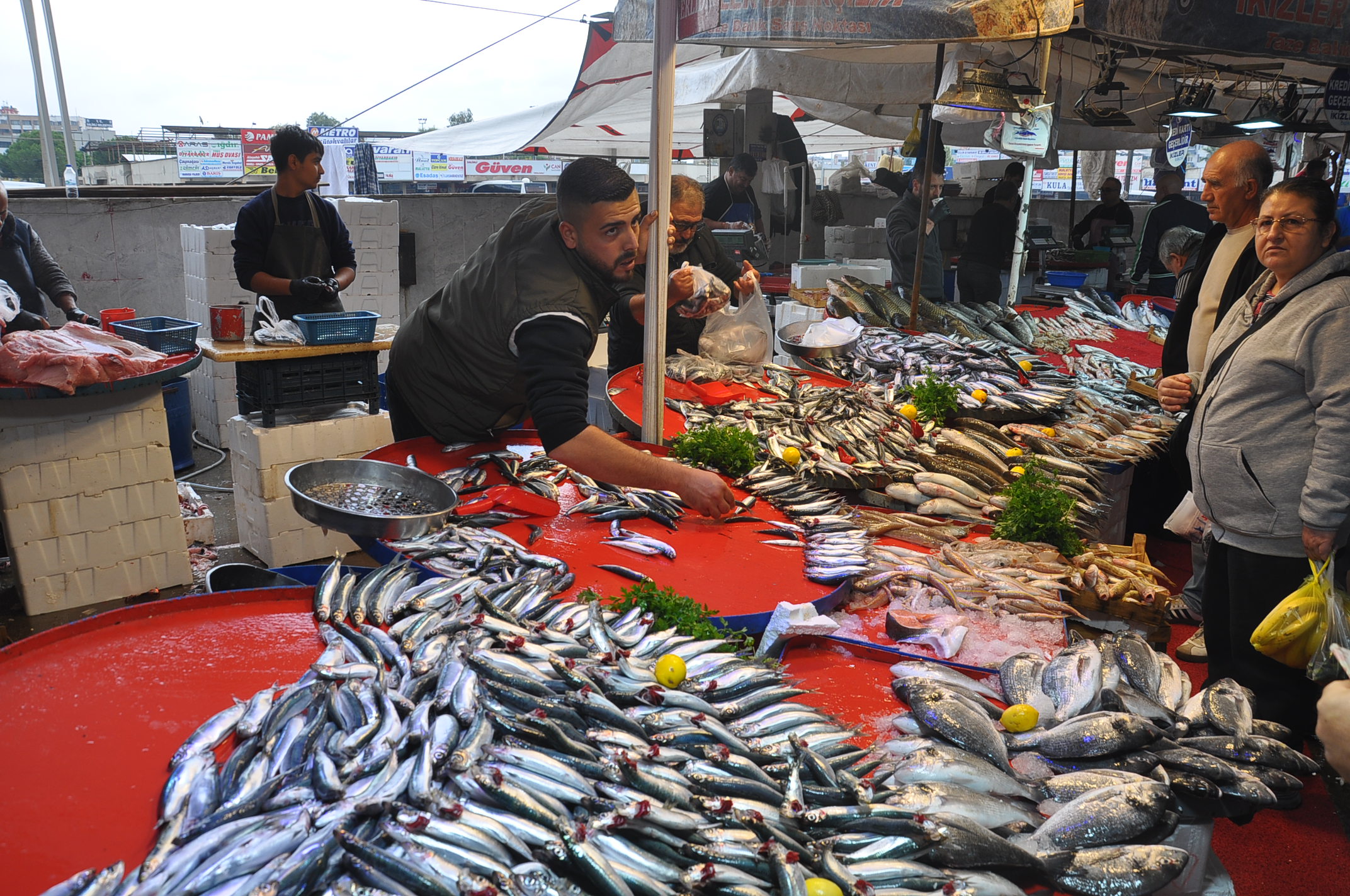 Salihli Pazar Balık (1)
