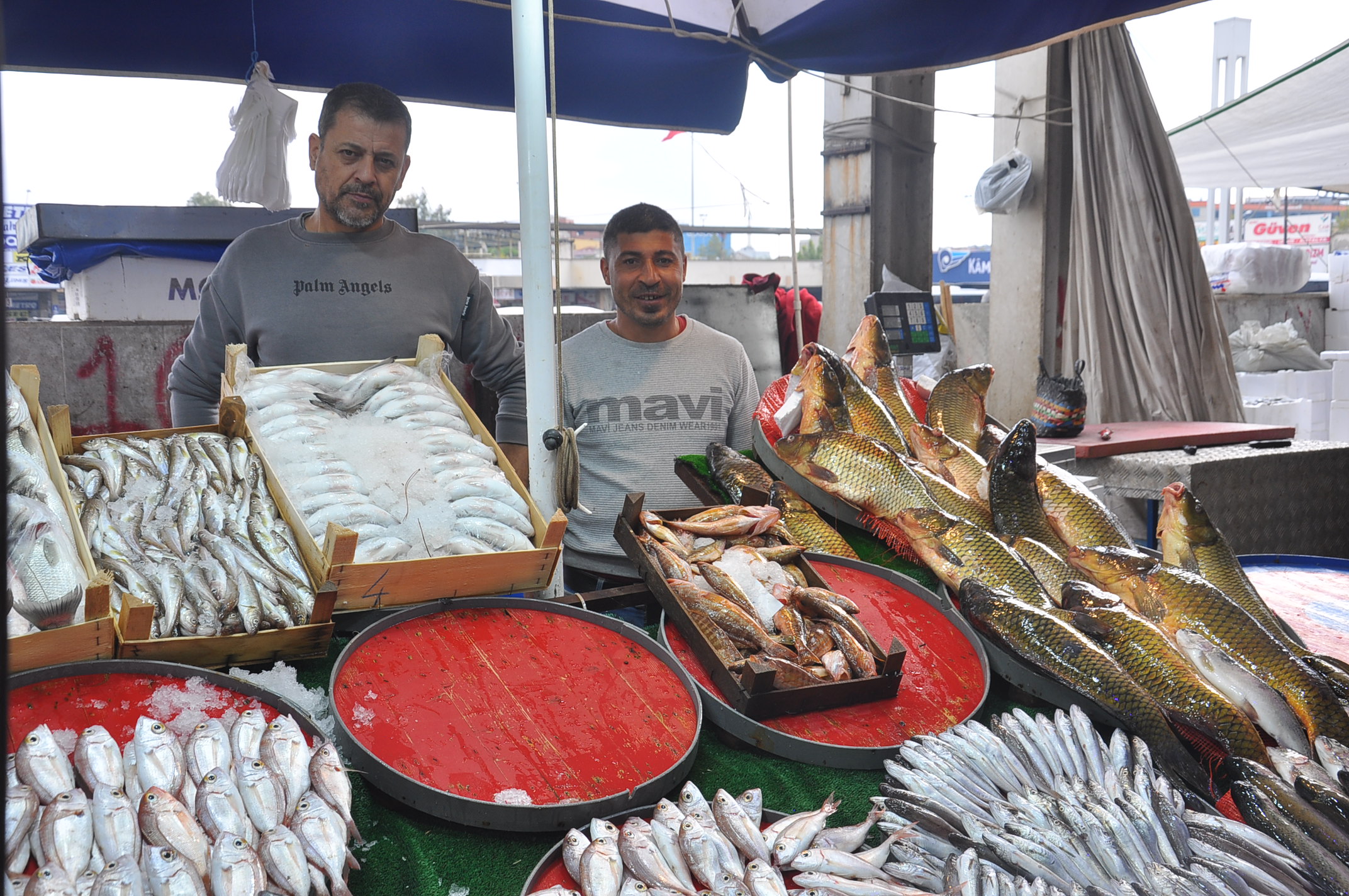 Salihli Pazar Balık (4)