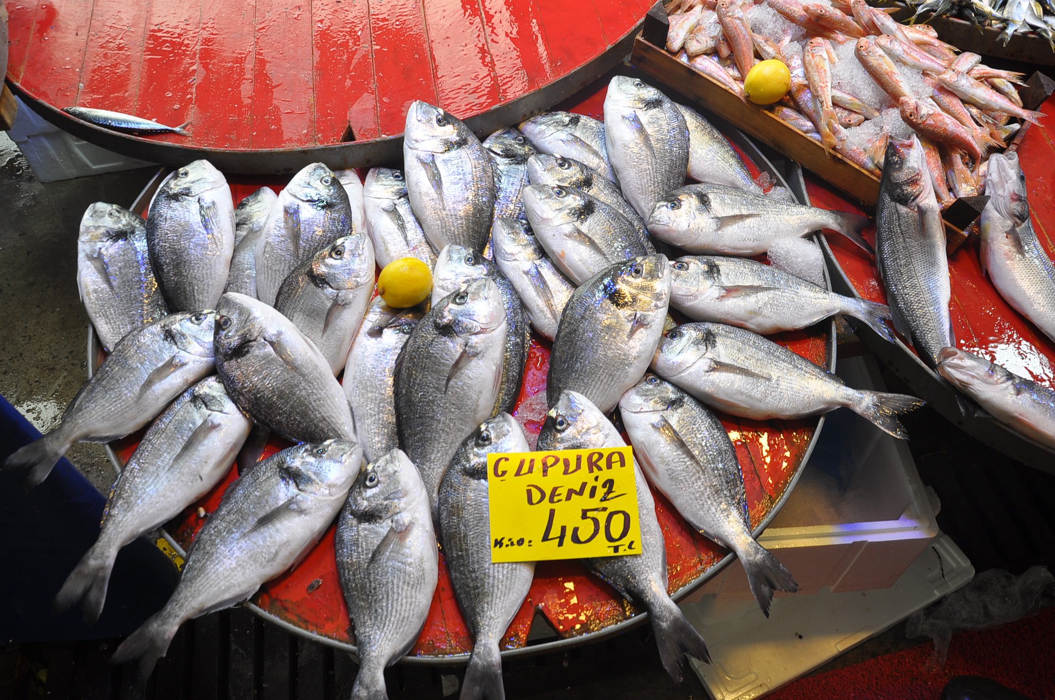 Salihli Pazar Balık (6)