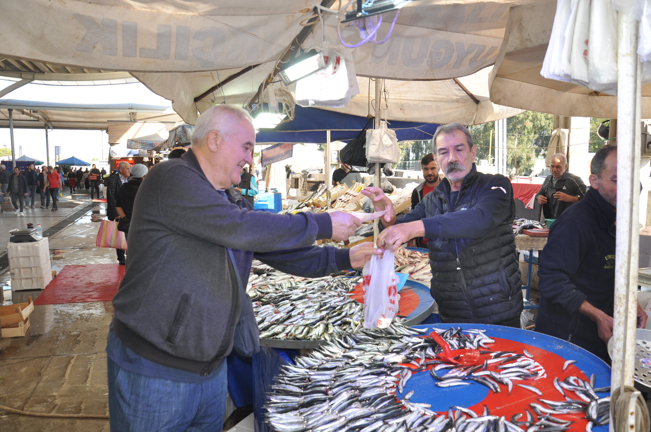 Salihli Yeni Pazar Yerinde Balik Fiyatlari 1 Ekim Carsamba Tezgahlarda Balik Bereketi (11)