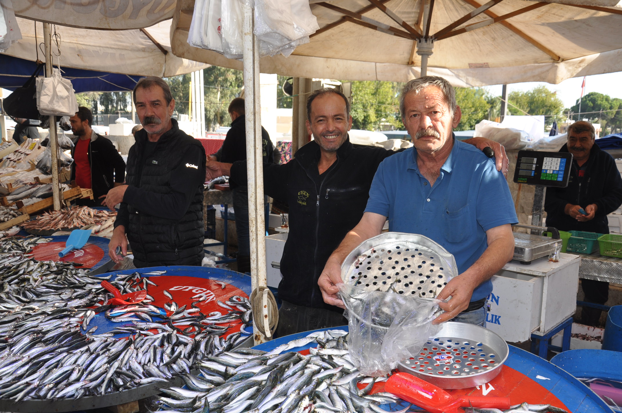 Salihli Yeni Pazar Yerinde Balik Fiyatlari 1 Ekim Carsamba Tezgahlarda Balik Bereketi (12)