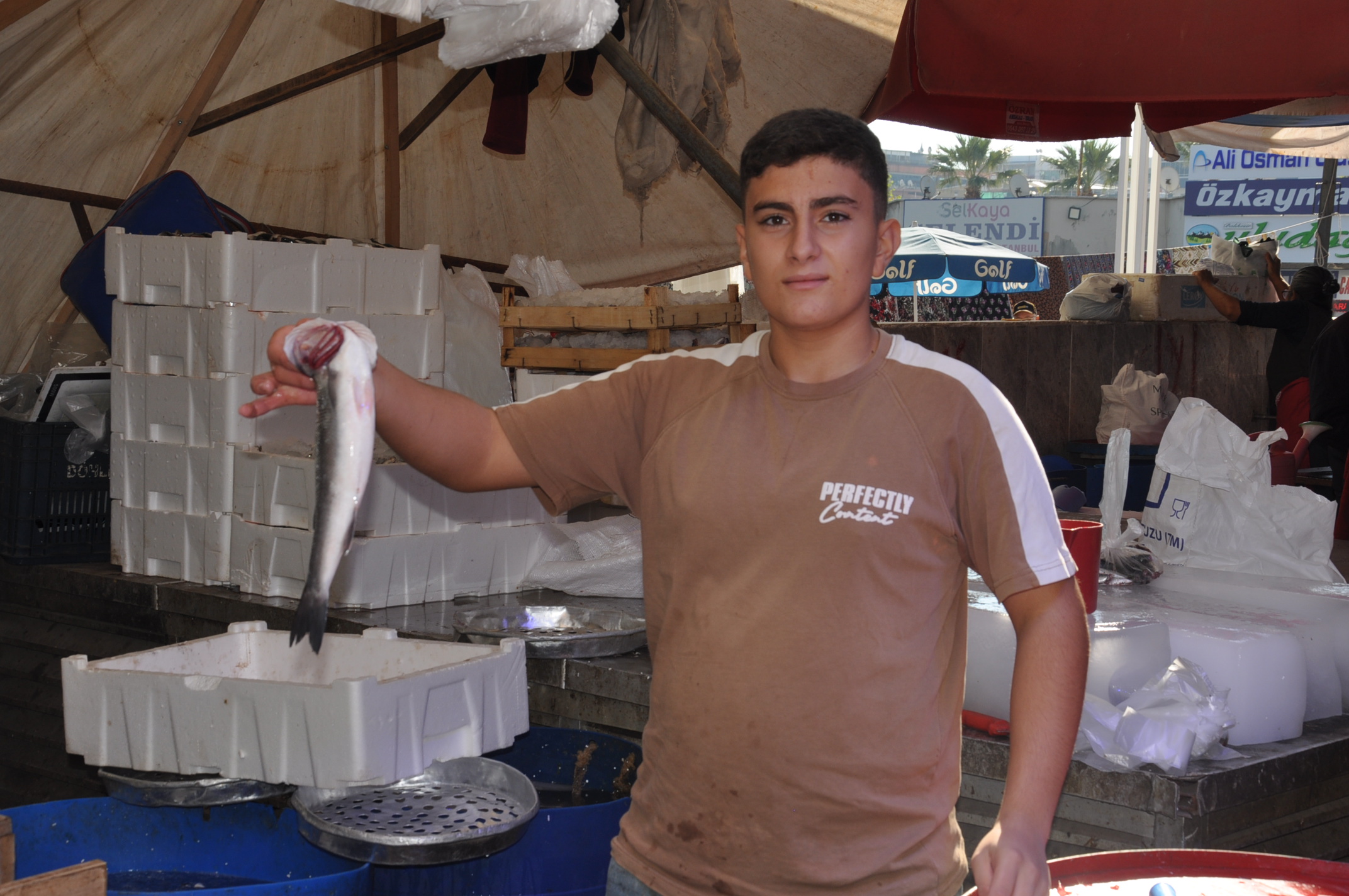 Salihli Yeni Pazar Yerinde Balik Fiyatlari 1 Ekim Carsamba Tezgahlarda Balik Bereketi (13)