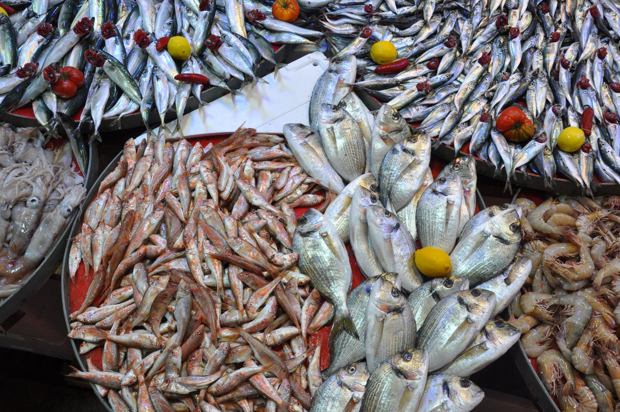Salihli Yeni Pazar Yerinde Balik Fiyatlari 1 Ekim Carsamba Tezgahlarda Balik Bereketi (14)