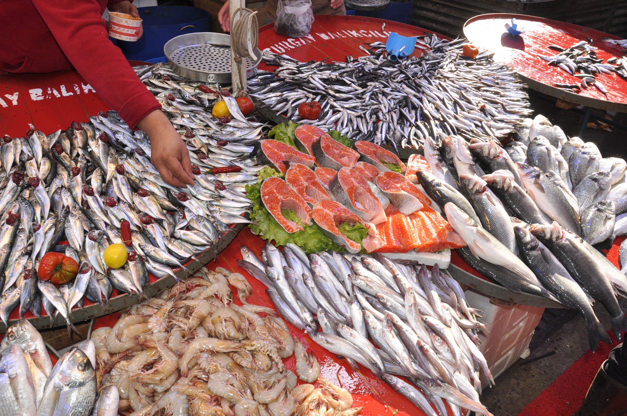 Salihli Yeni Pazar Yerinde Balik Fiyatlari 1 Ekim Carsamba Tezgahlarda Balik Bereketi (15)