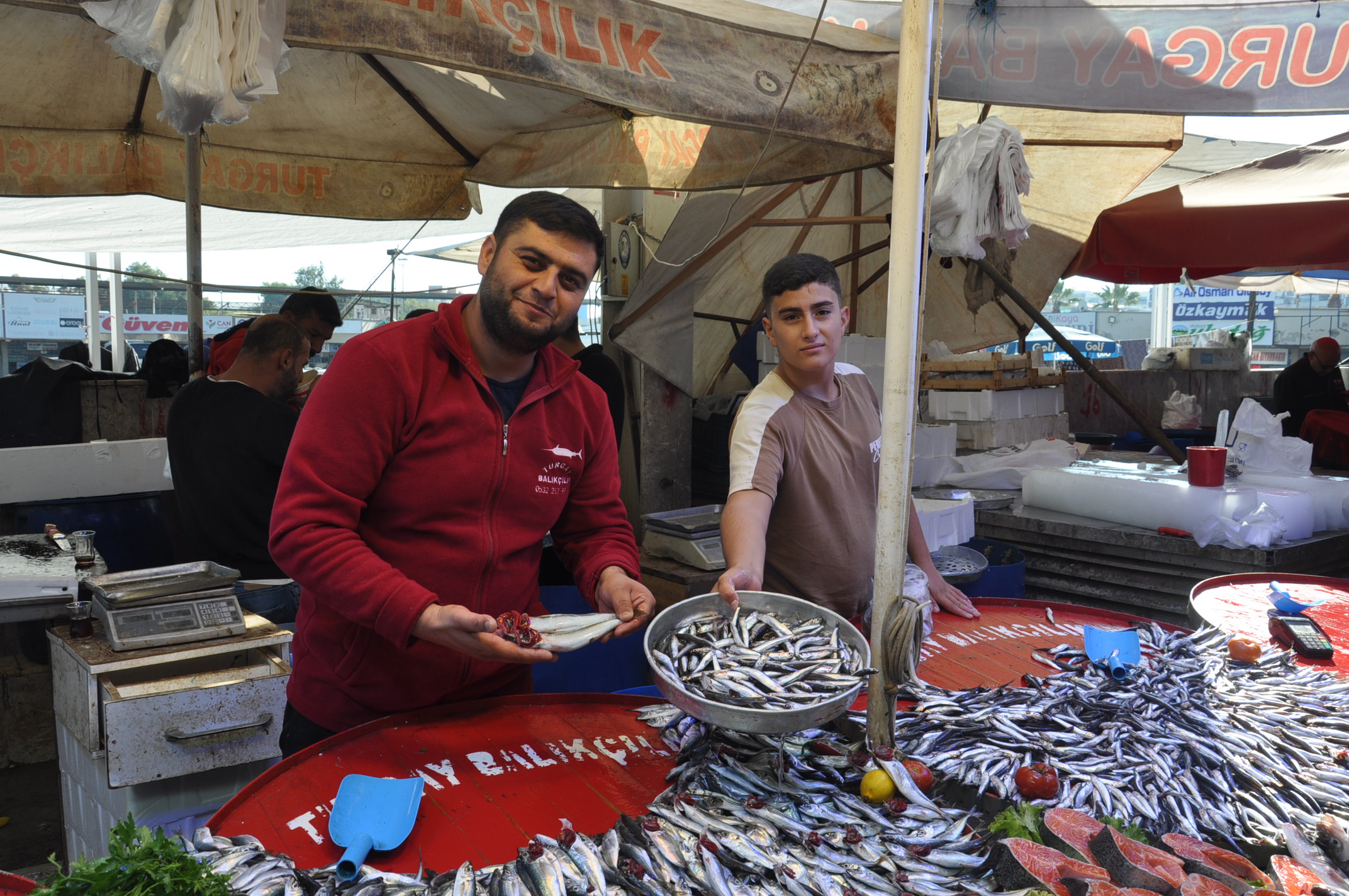 Salihli Yeni Pazar Yerinde Balik Fiyatlari 1 Ekim Carsamba Tezgahlarda Balik Bereketi (16)