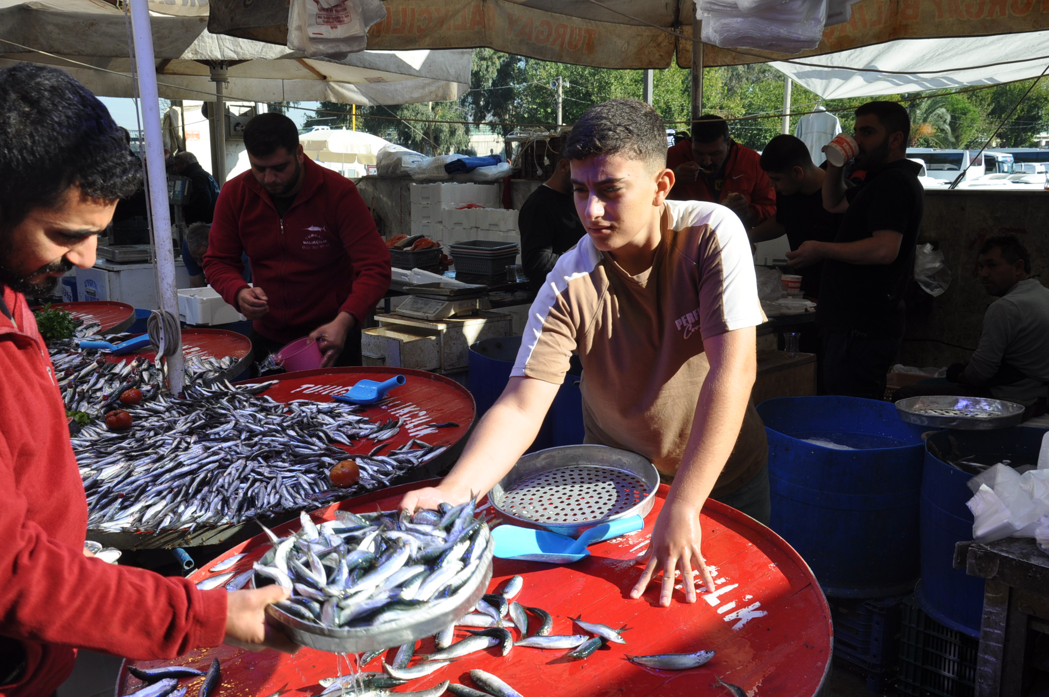 Salihli Yeni Pazar Yerinde Balik Fiyatlari 1 Ekim Carsamba Tezgahlarda Balik Bereketi (18)
