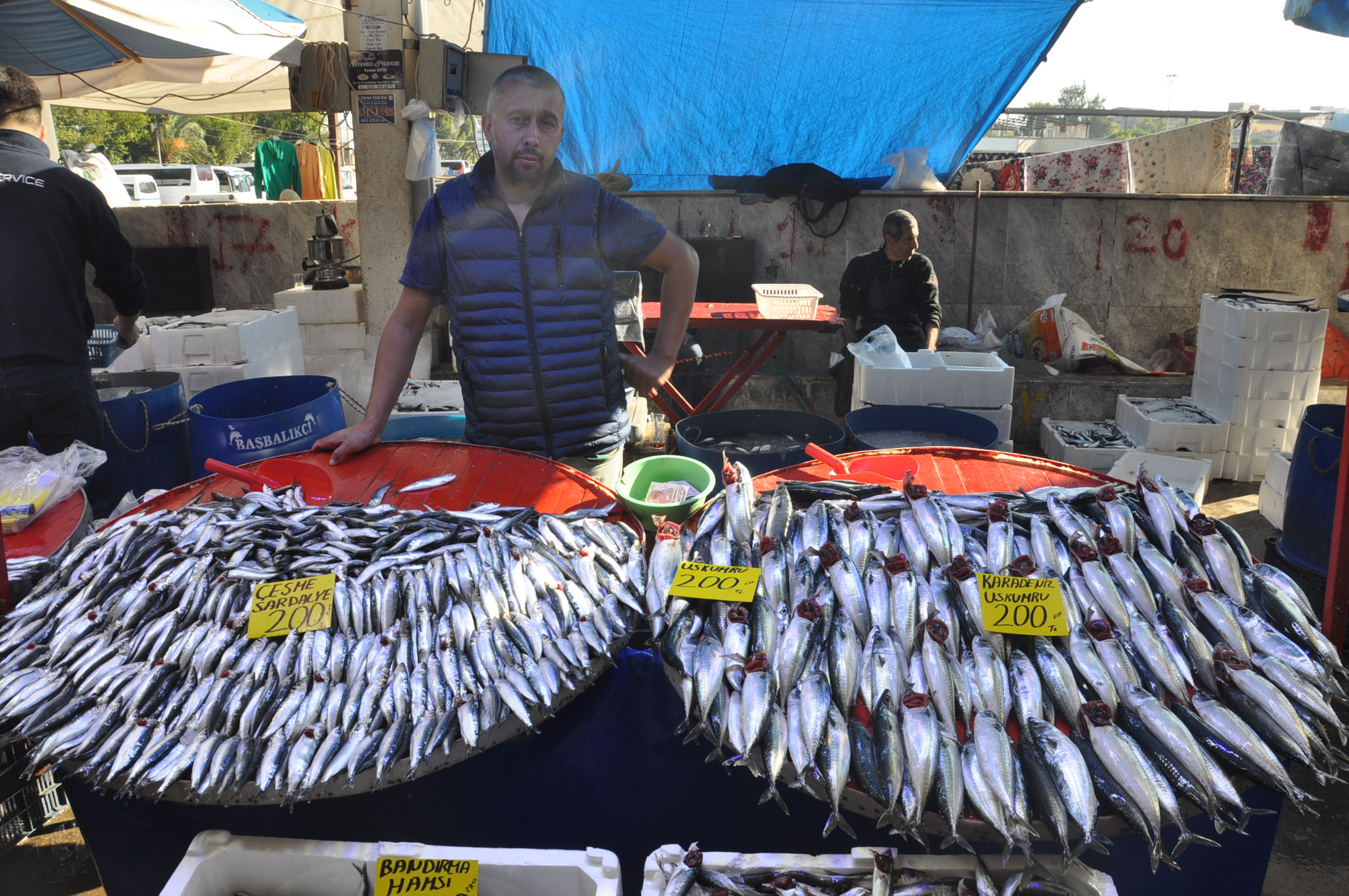 Salihli Yeni Pazar Yerinde Balik Fiyatlari 1 Ekim Carsamba Tezgahlarda Balik Bereketi (19)