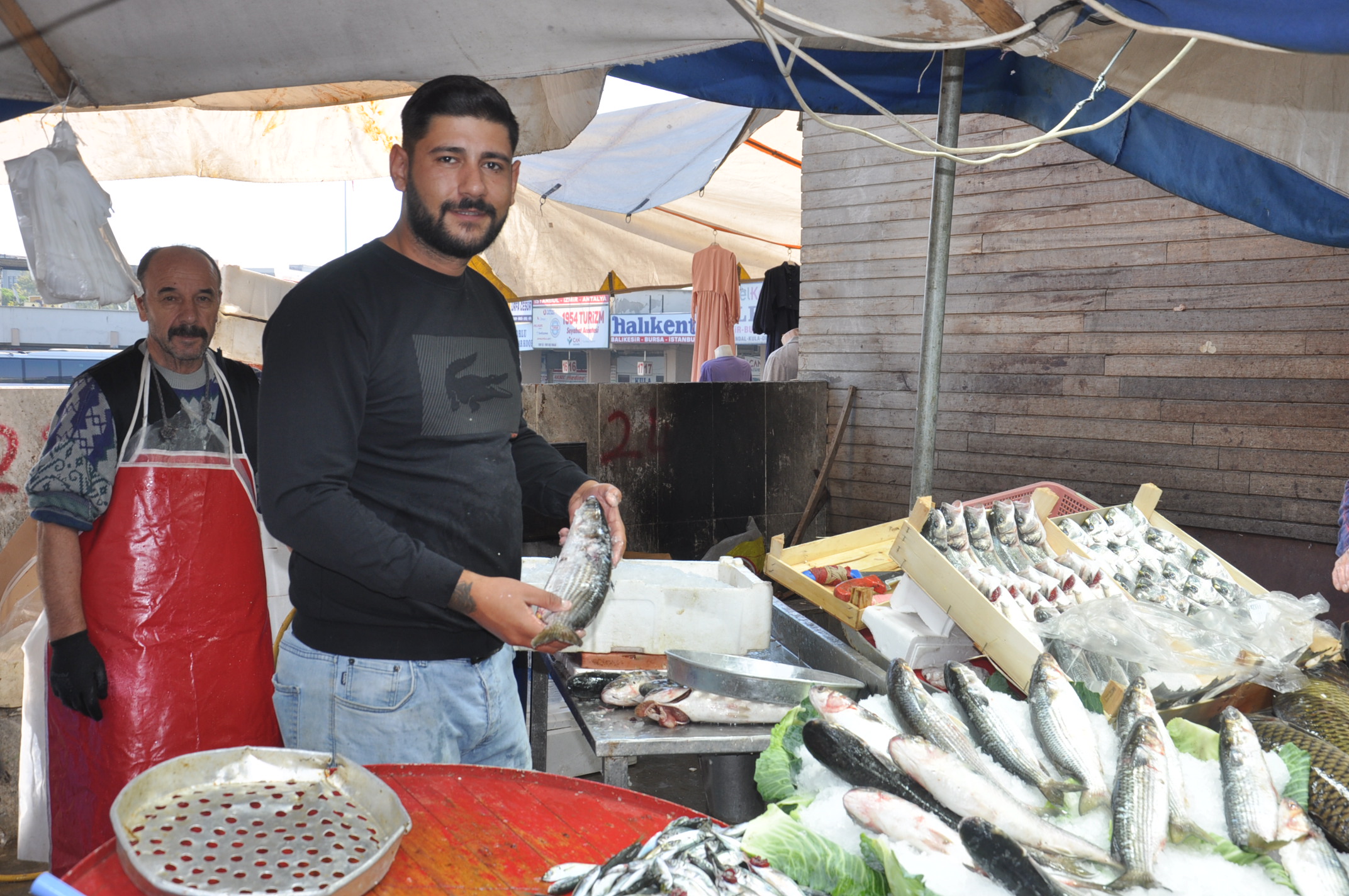Salihli Yeni Pazar Yerinde Balik Fiyatlari 1 Ekim Carsamba Tezgahlarda Balik Bereketi (22)